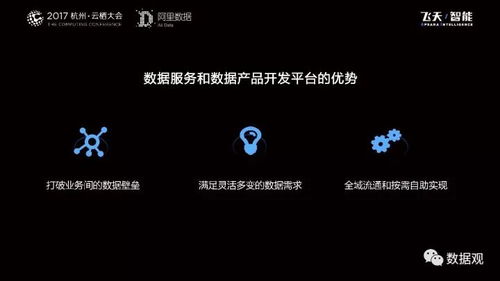 阿里数据服务产品开发及大数据体系实录 大数据服务的核心策略与实践干货